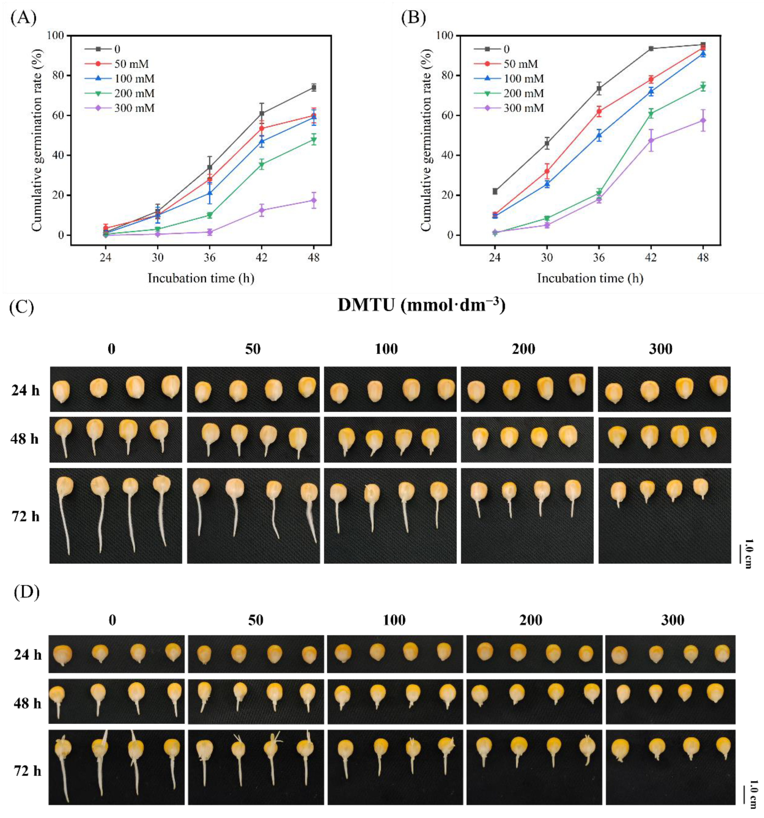 Ijms 24 15557 g001 Ijms 24 15557 g001