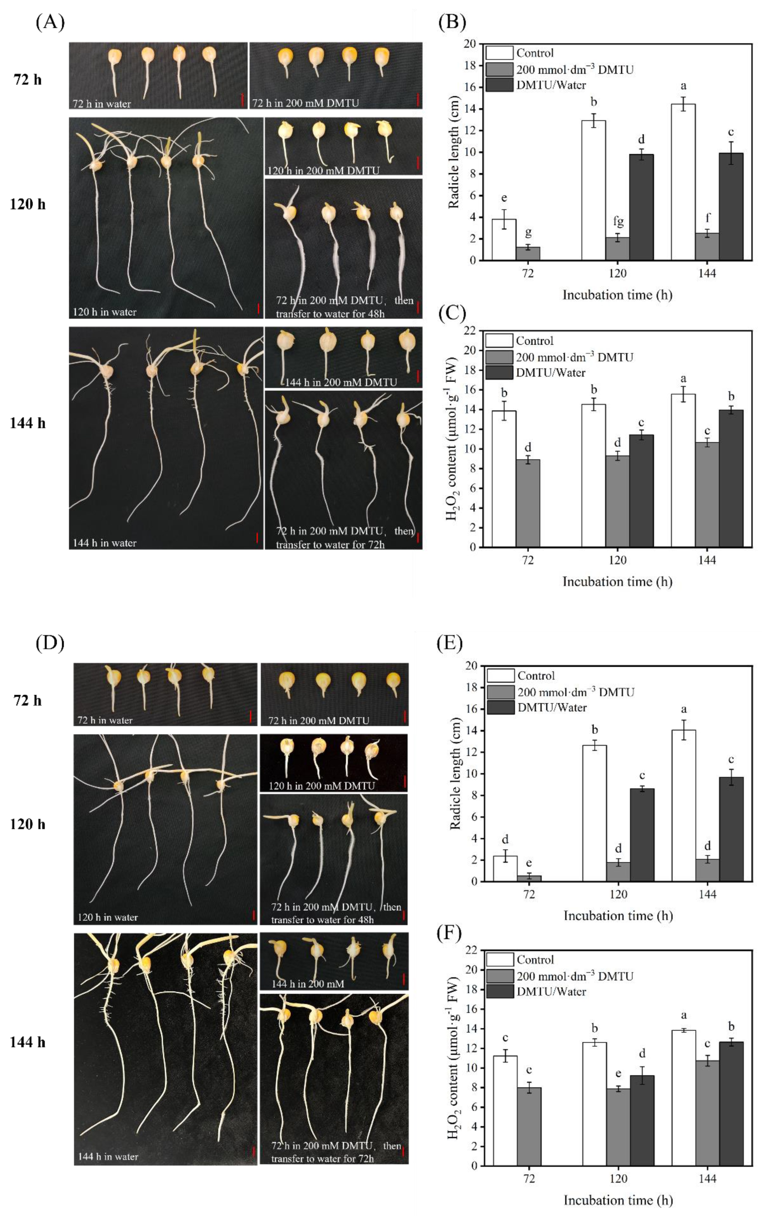 Ijms 24 15557 g004 Ijms 24 15557 g004
