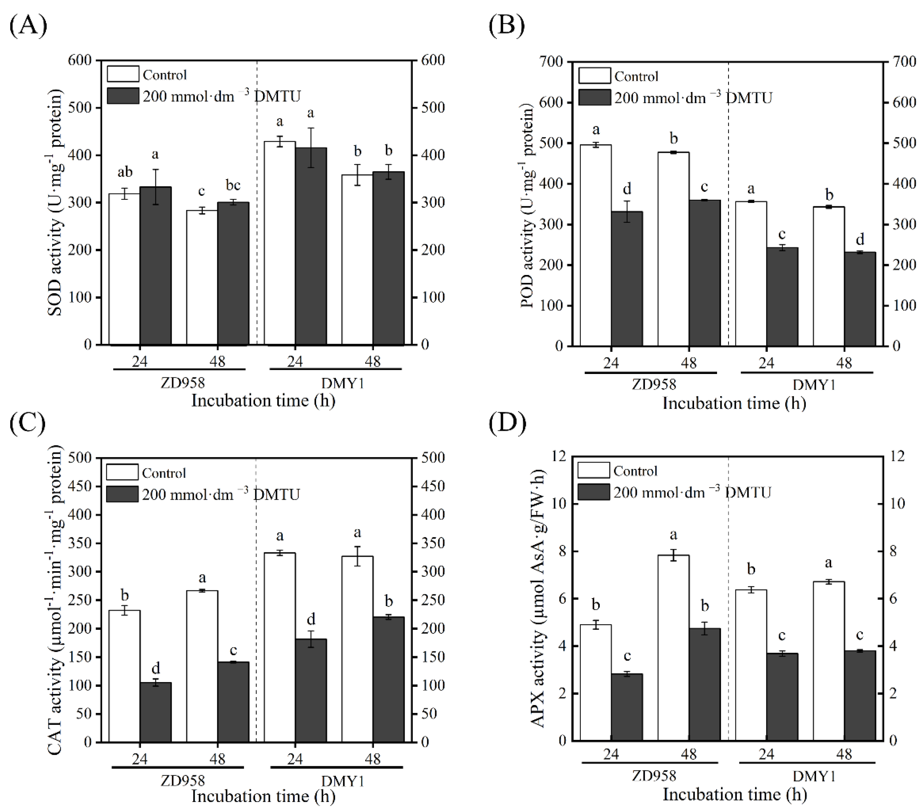 Ijms 24 15557 g005 Ijms 24 15557 g005