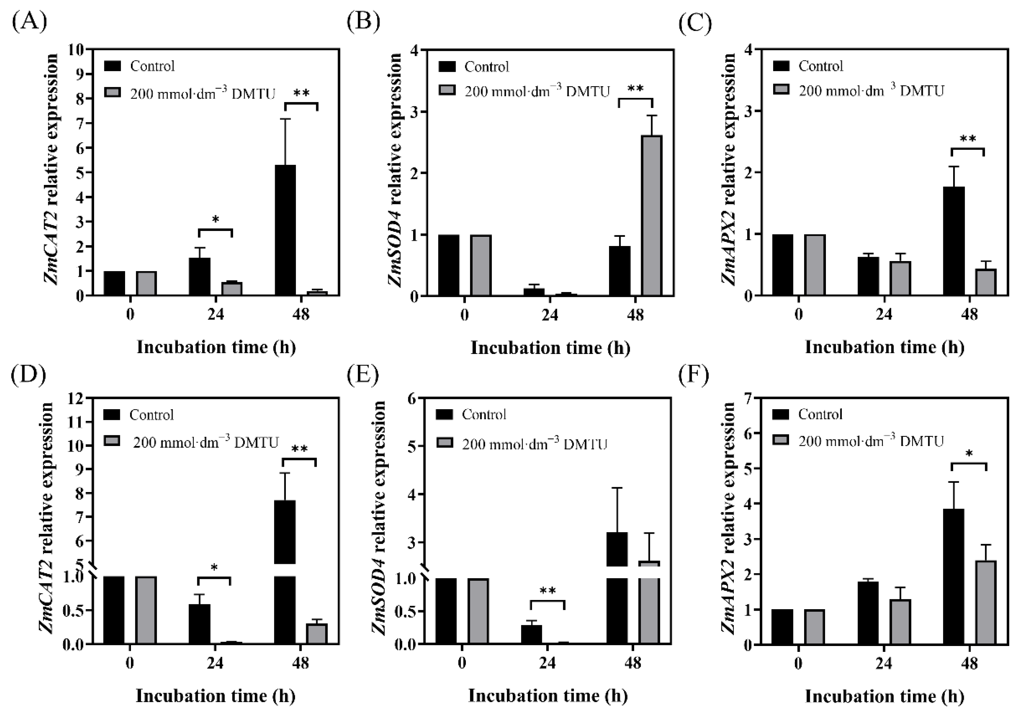 Ijms 24 15557 g006 Ijms 24 15557 g006