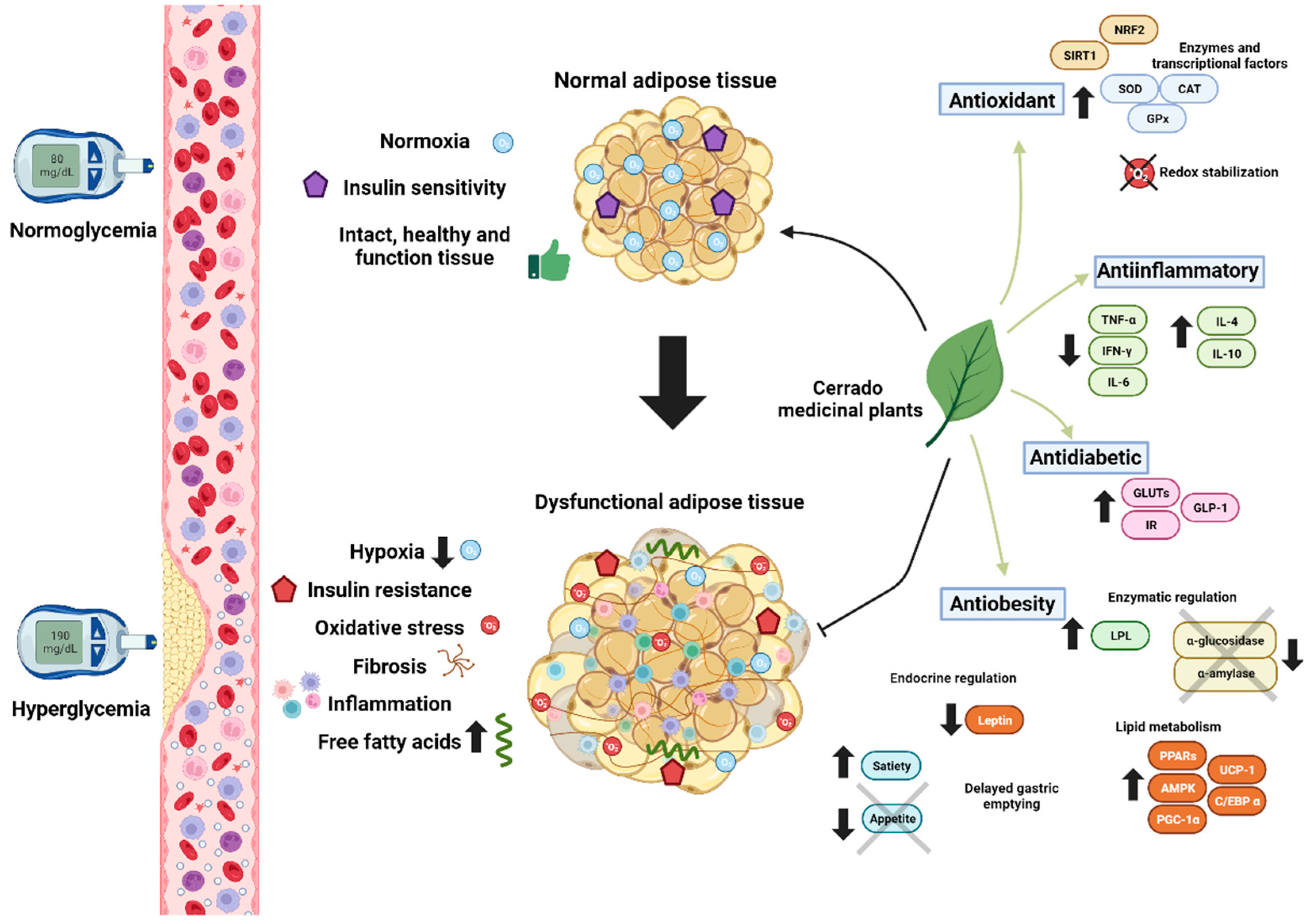 Ijms 24 15588 g002 Ijms 24 15588 g002