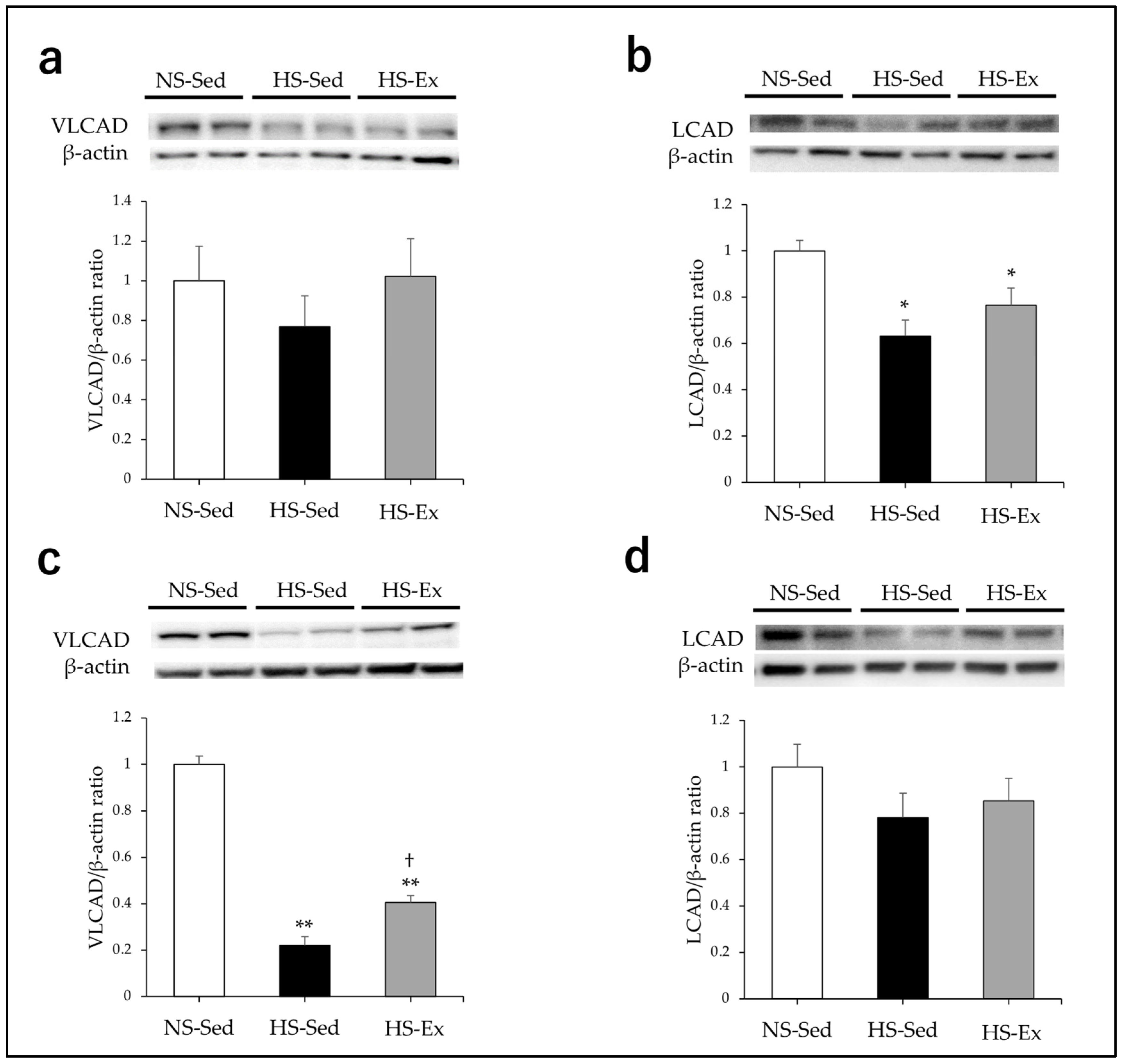 Ijms 24 15601 g002 Ijms 24 15601 g002