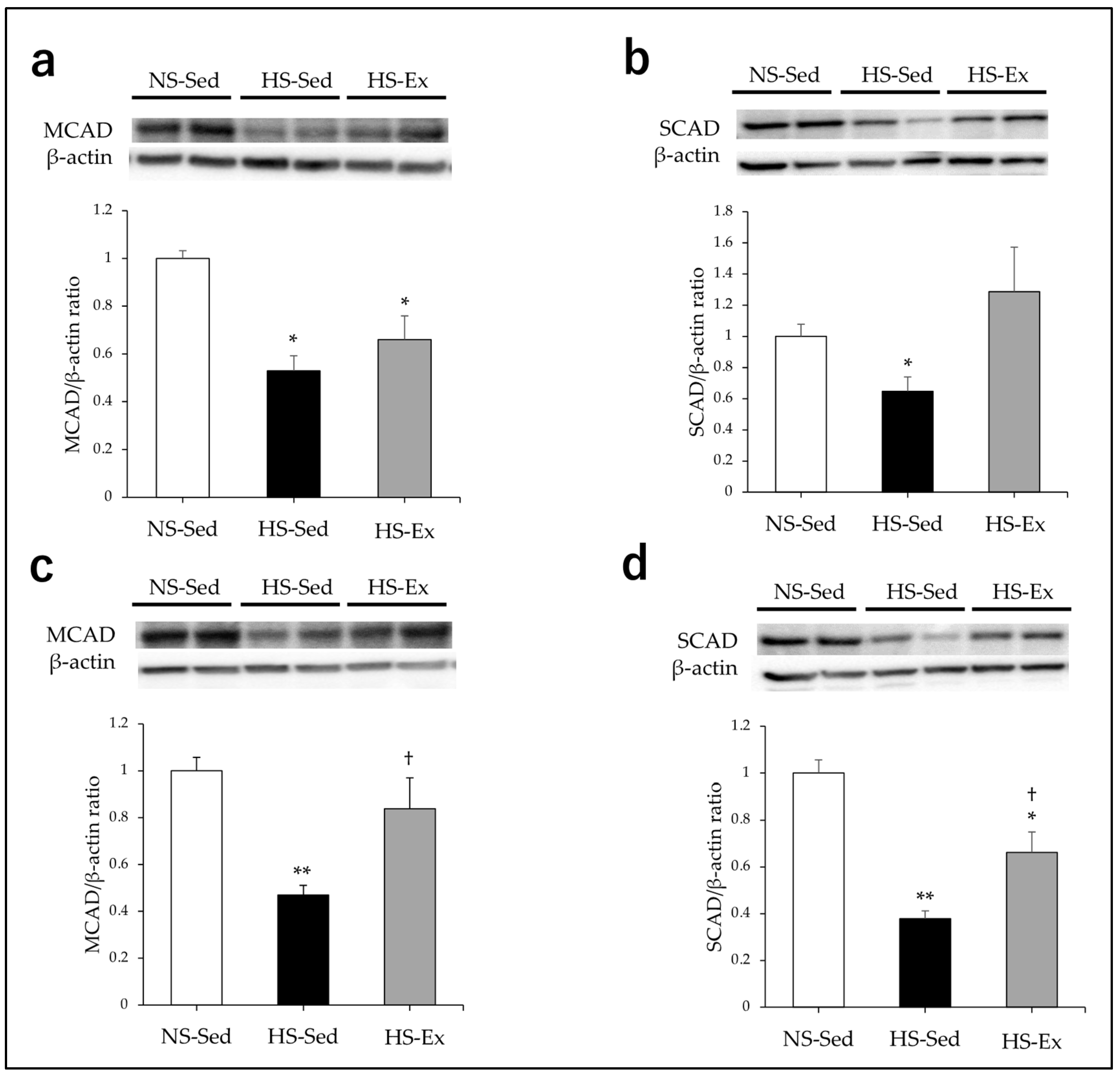 Ijms 24 15601 g003 Ijms 24 15601 g003