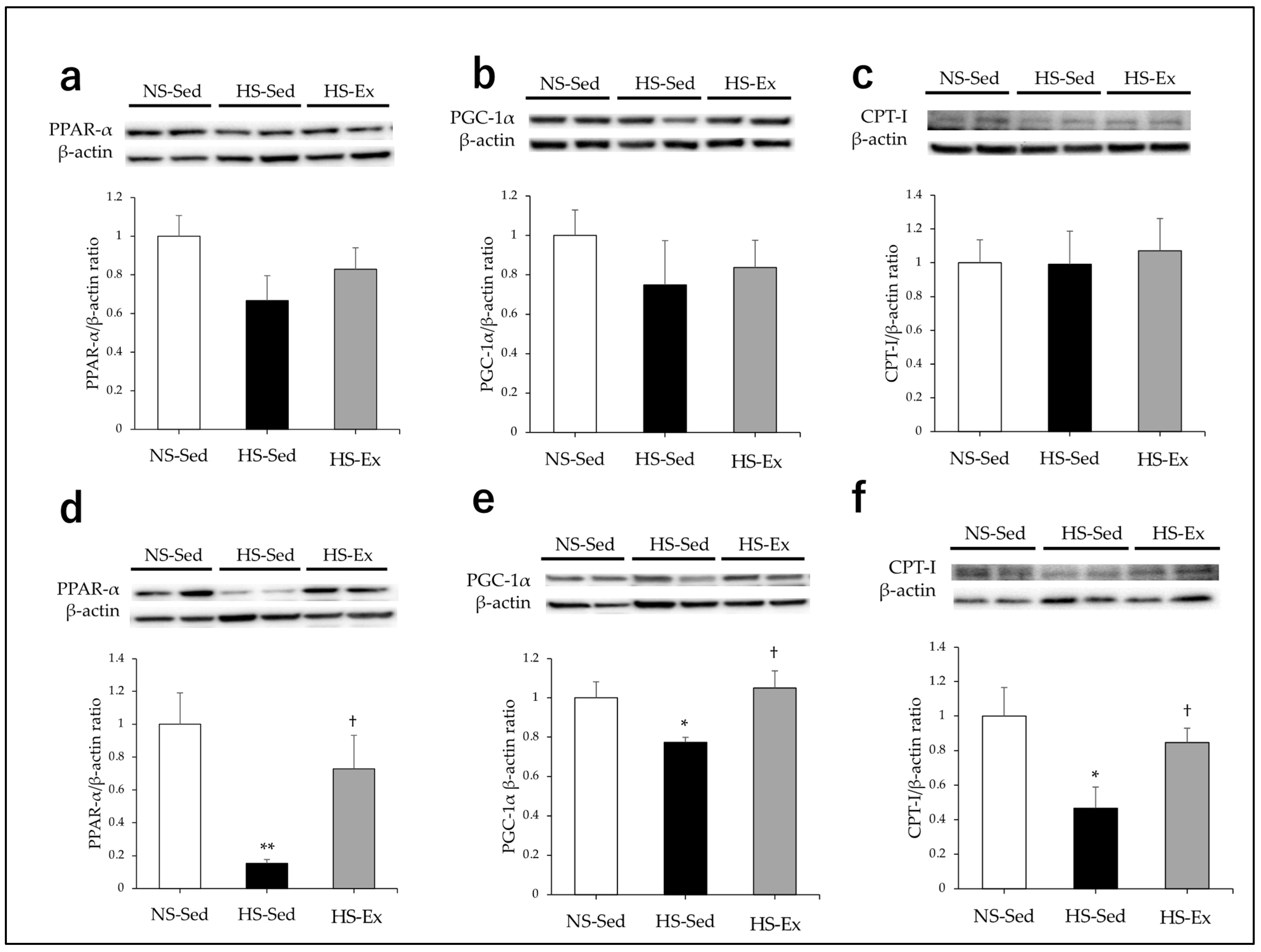 Ijms 24 15601 g004 Ijms 24 15601 g004