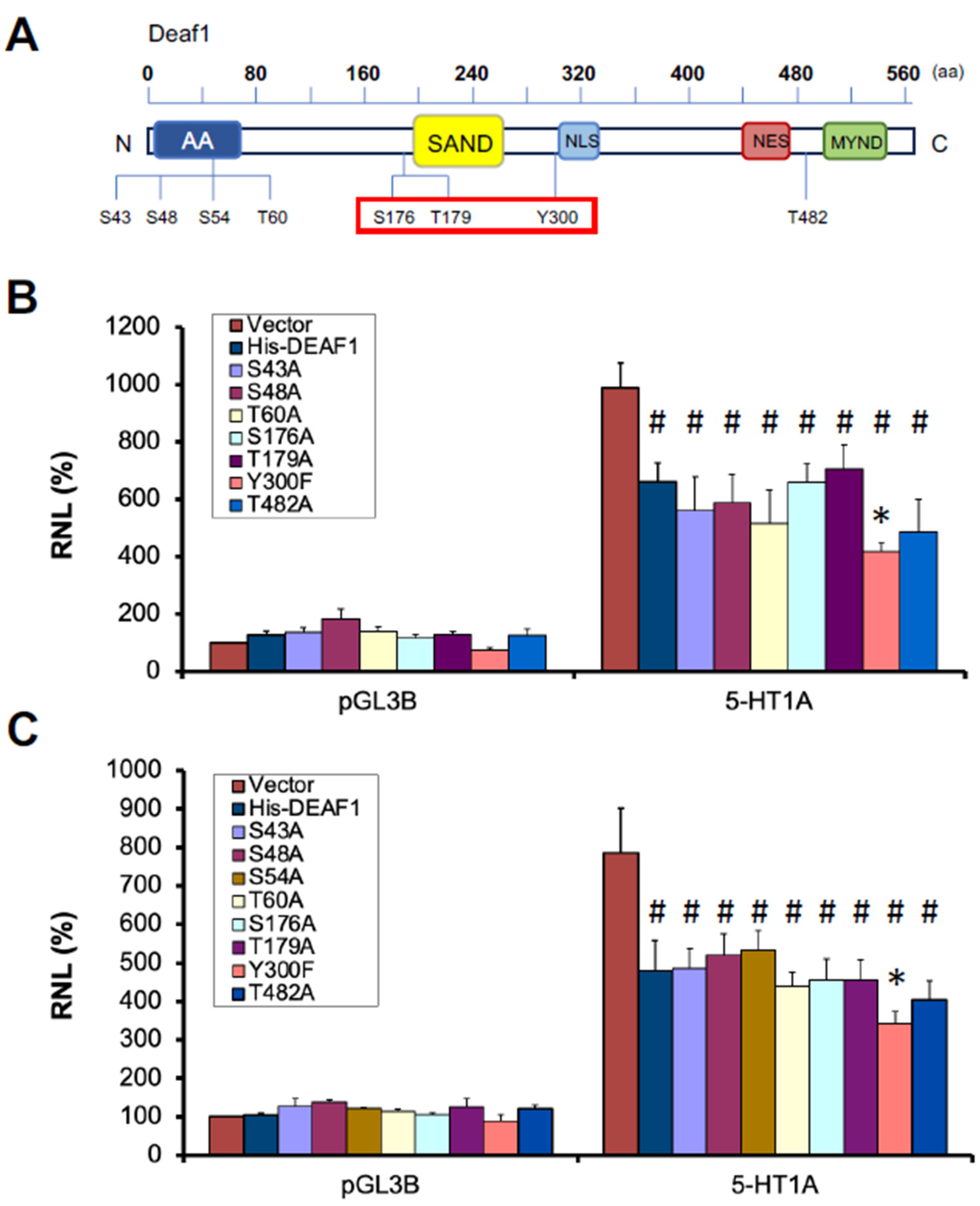 Ijms 24 15620 g001 Ijms 24 15620 g001