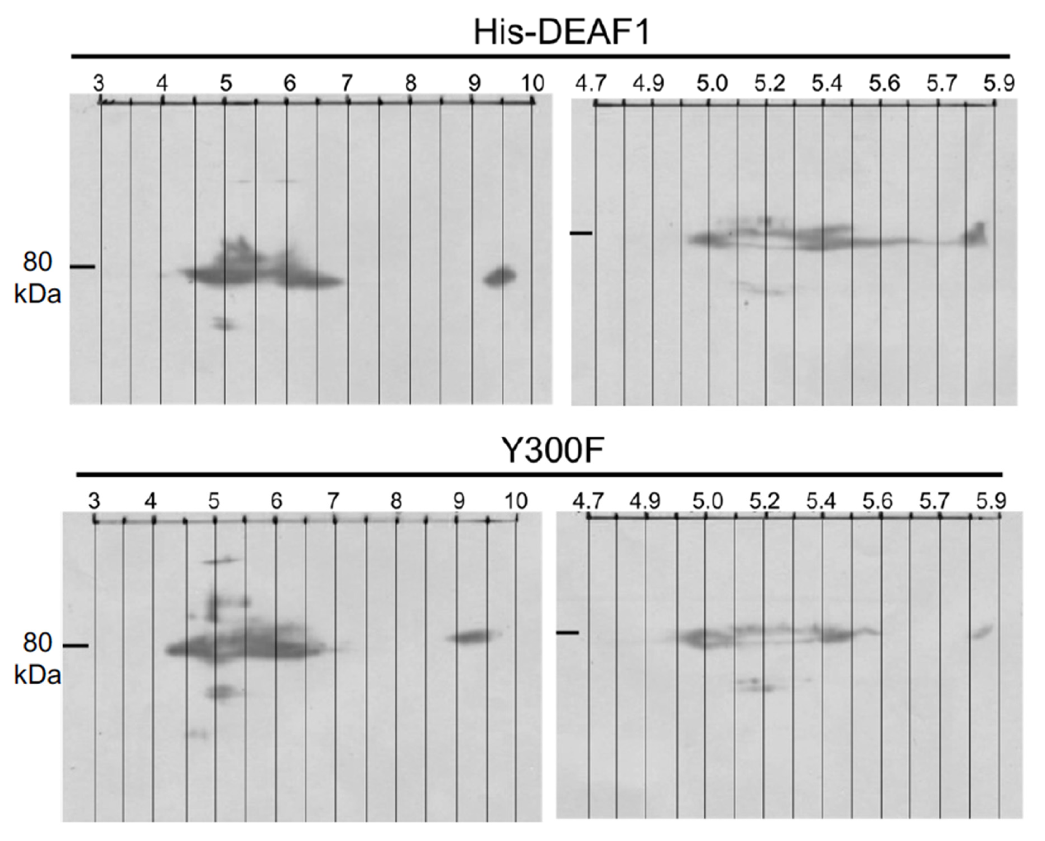 Ijms 24 15620 g002 Ijms 24 15620 g002