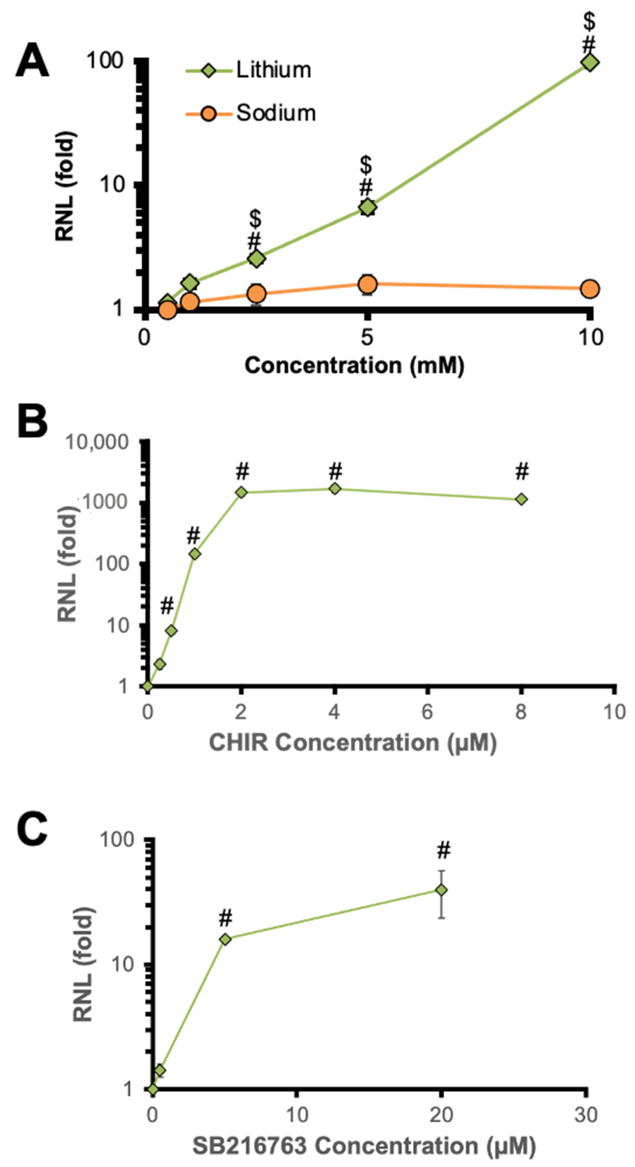 Ijms 24 15620 g005 Ijms 24 15620 g005