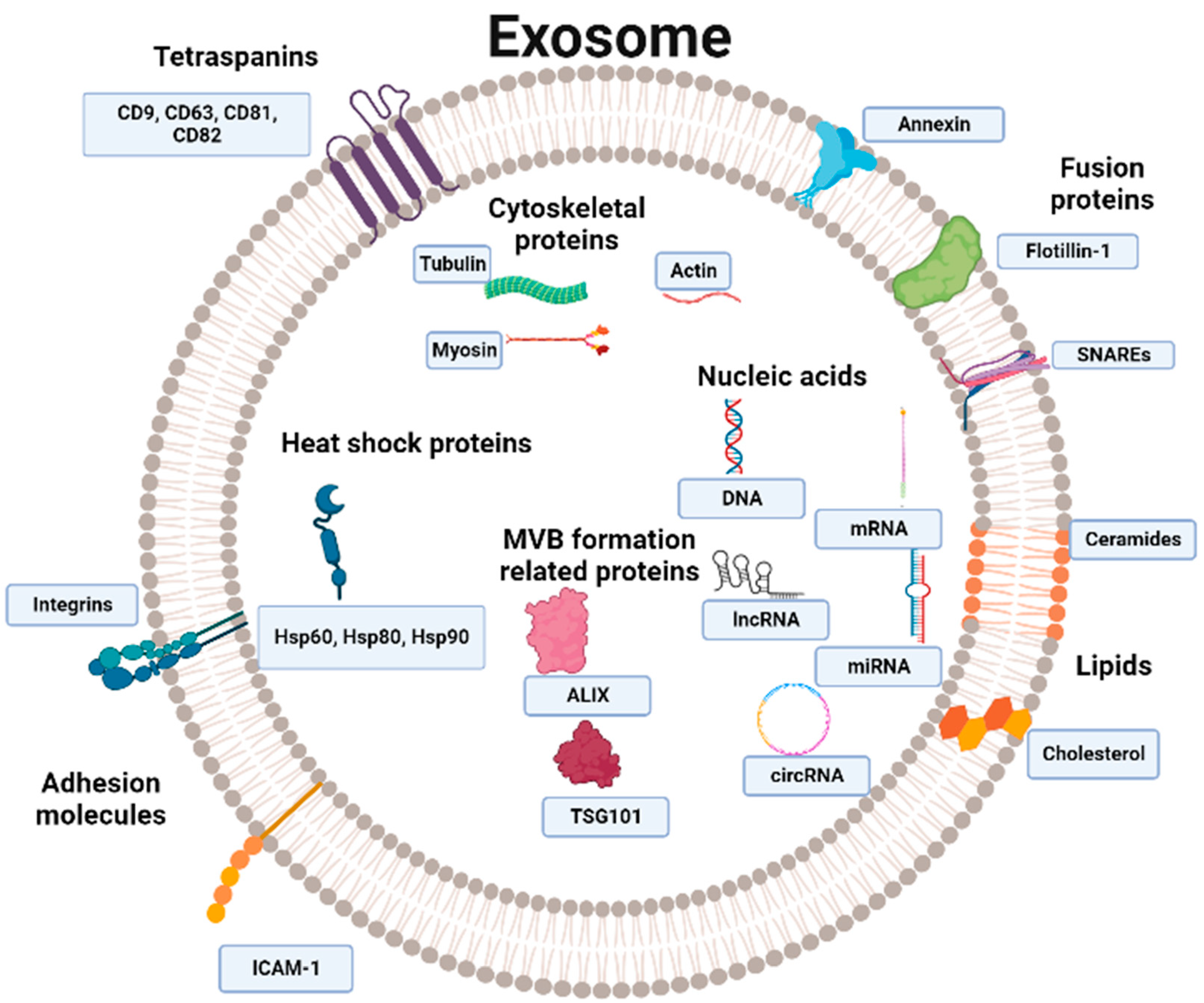 Ijms 24 15635 g002 Ijms 24 15635 g002