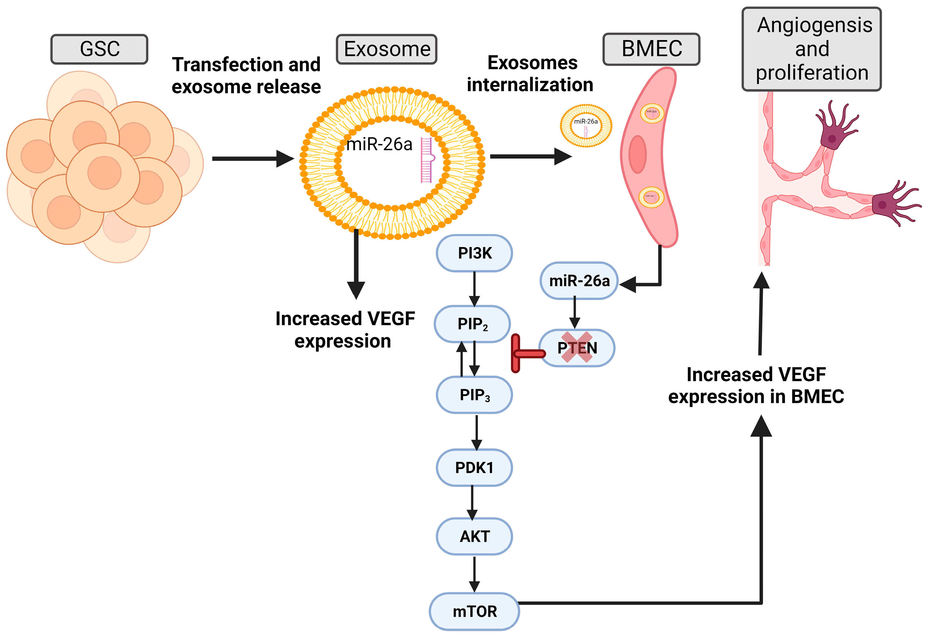 Ijms 24 15635 g003 Ijms 24 15635 g003