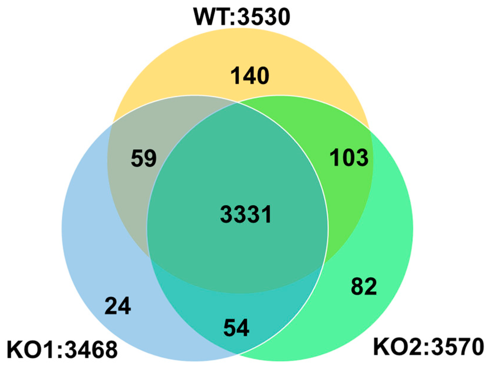 Ijms 24 15642 g002 Ijms 24 15642 g002