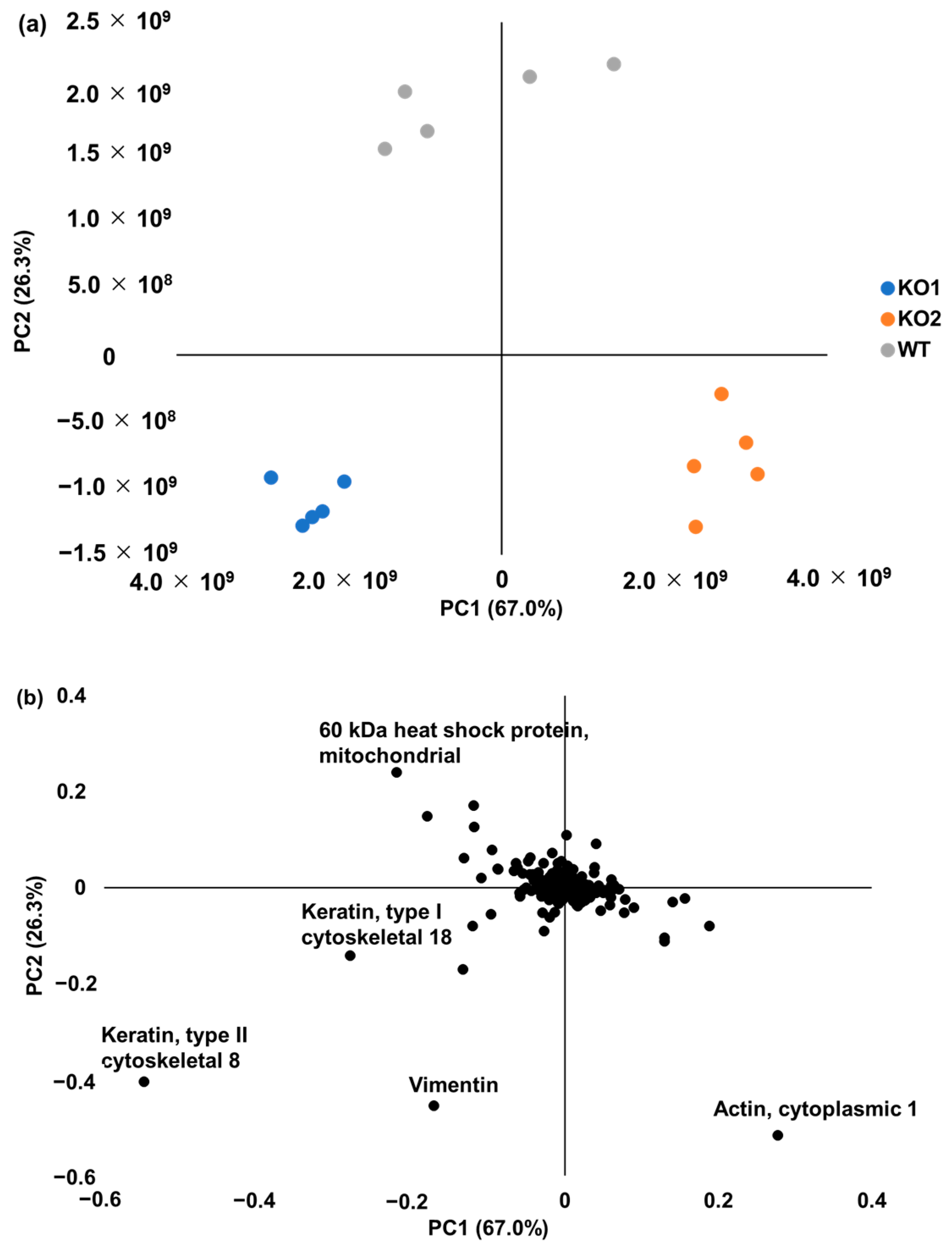 Ijms 24 15642 g003 Ijms 24 15642 g003