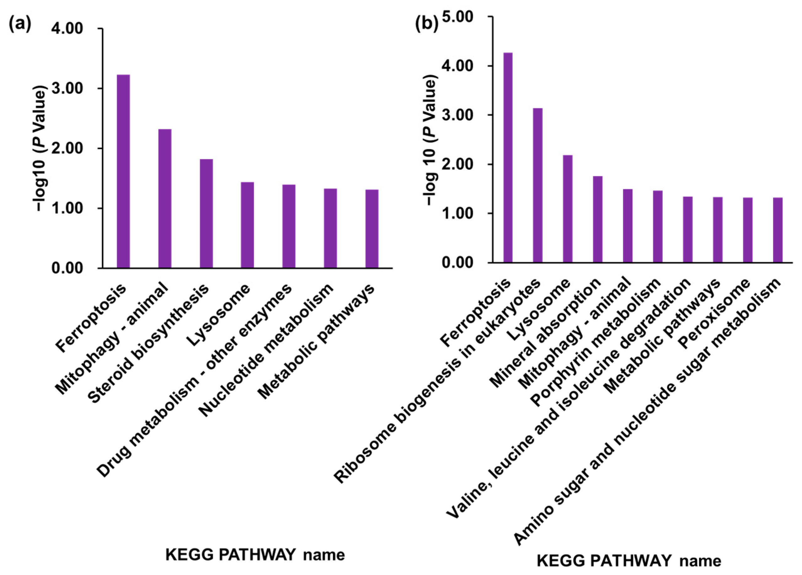 Ijms 24 15642 g005 Ijms 24 15642 g005