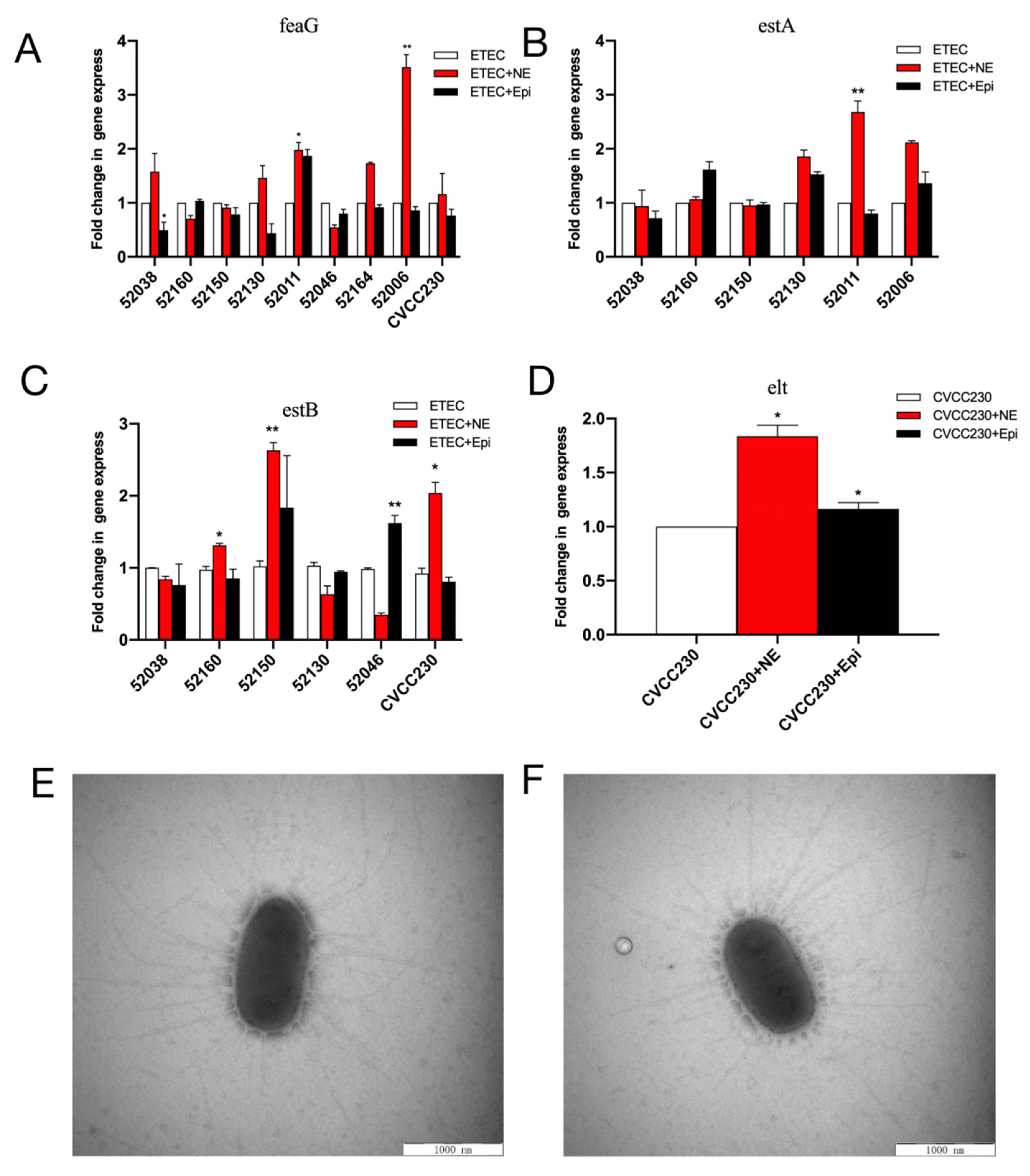 Ijms 24 15646 g004 Ijms 24 15646 g004