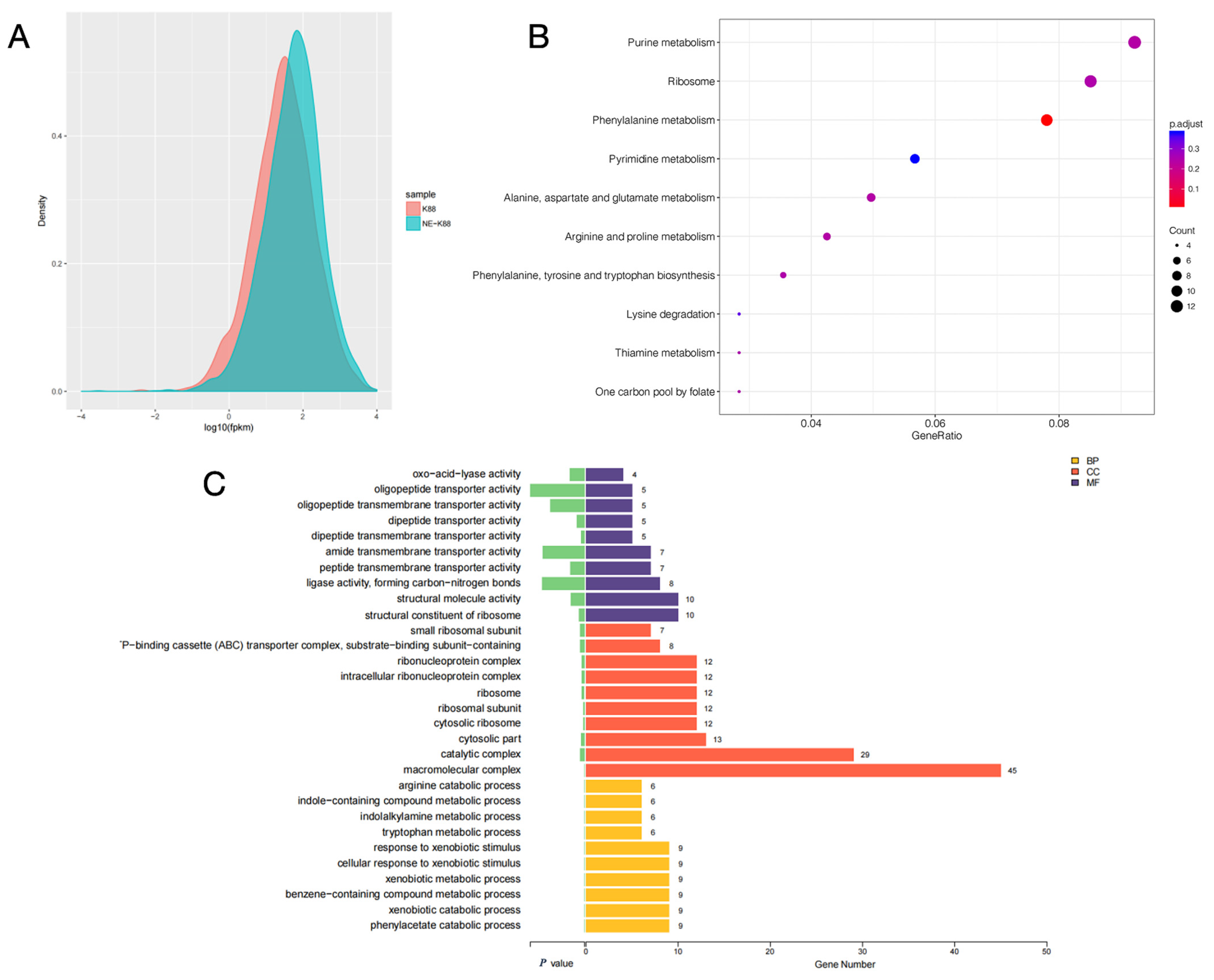 Ijms 24 15646 g007 Ijms 24 15646 g007