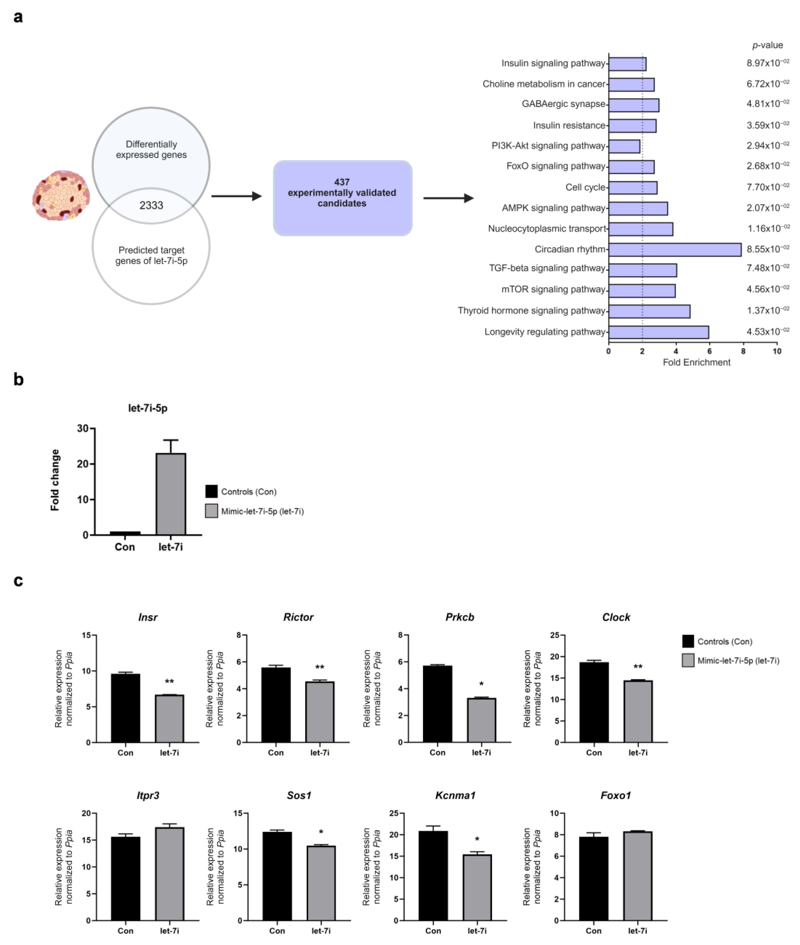 Ijms 24 15673 g003 Ijms 24 15673 g003