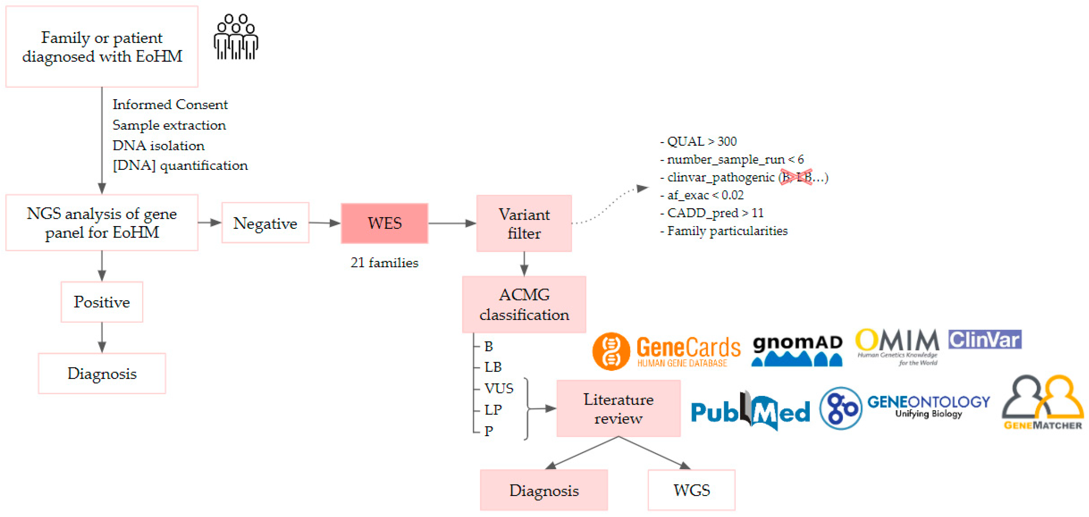 Ijms 24 15676 g009 Ijms 24 15676 g009