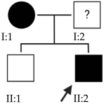 Ijms 24 15676 i003 Ijms 24 15676 i003