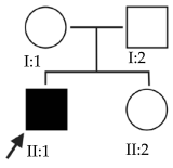 Ijms 24 15676 i004 Ijms 24 15676 i004