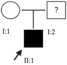 Ijms 24 15676 i005 Ijms 24 15676 i005