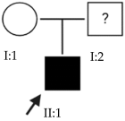 Ijms 24 15676 i007 Ijms 24 15676 i007