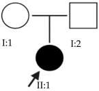 Ijms 24 15676 i008 Ijms 24 15676 i008