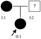 Ijms 24 15676 i009 Ijms 24 15676 i009