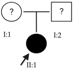 Ijms 24 15676 i010 Ijms 24 15676 i010