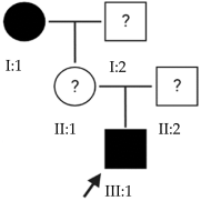 Ijms 24 15676 i011 Ijms 24 15676 i011