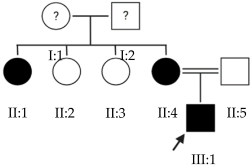 Ijms 24 15676 i013 Ijms 24 15676 i013