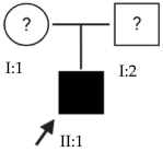 Ijms 24 15676 i014 Ijms 24 15676 i014