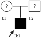 Ijms 24 15676 i015 Ijms 24 15676 i015