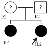 Ijms 24 15676 i016 Ijms 24 15676 i016