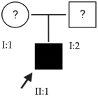 Ijms 24 15676 i018 Ijms 24 15676 i018