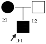 Ijms 24 15676 i020 Ijms 24 15676 i020