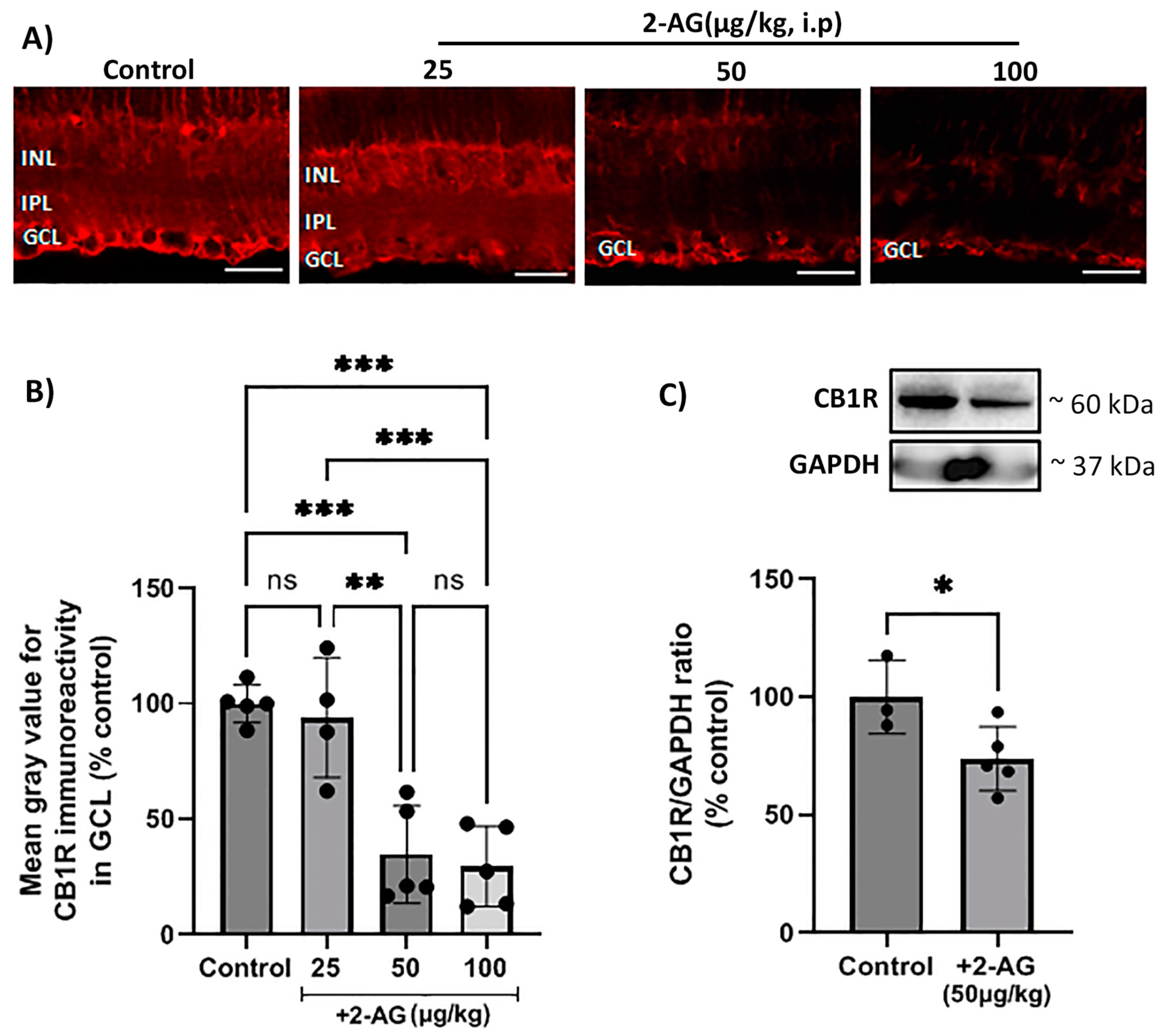 Ijms 24 15689 g001 Ijms 24 15689 g001
