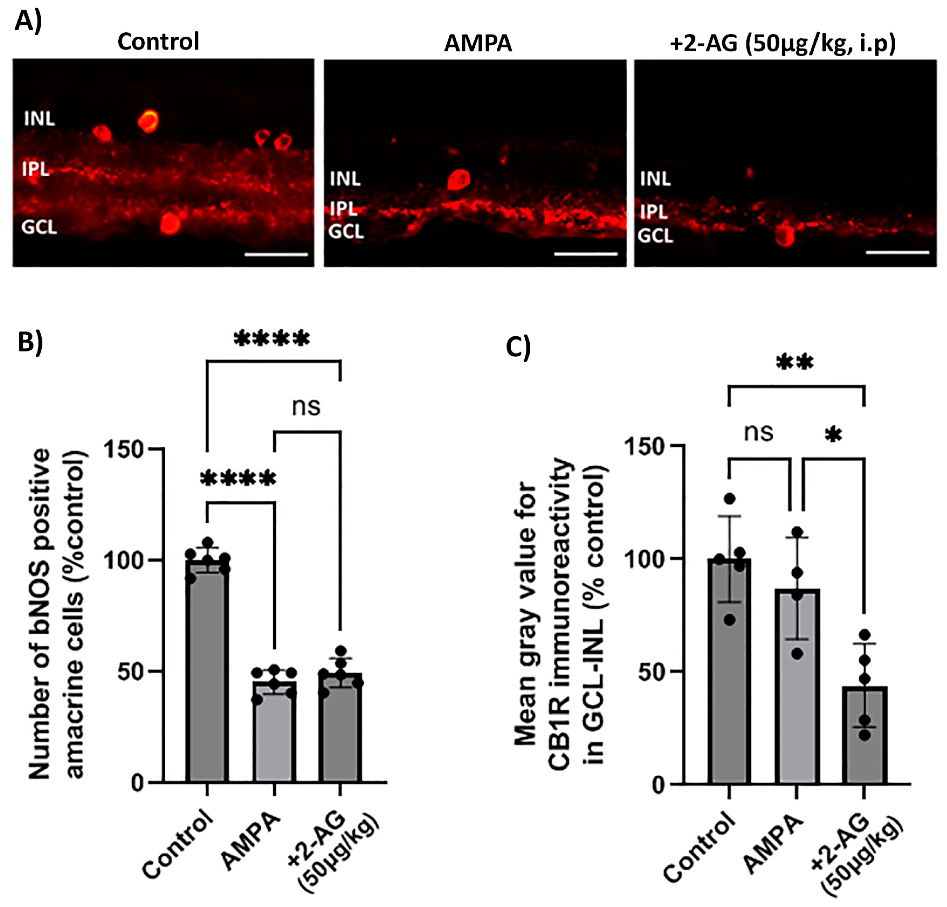 Ijms 24 15689 g002 Ijms 24 15689 g002