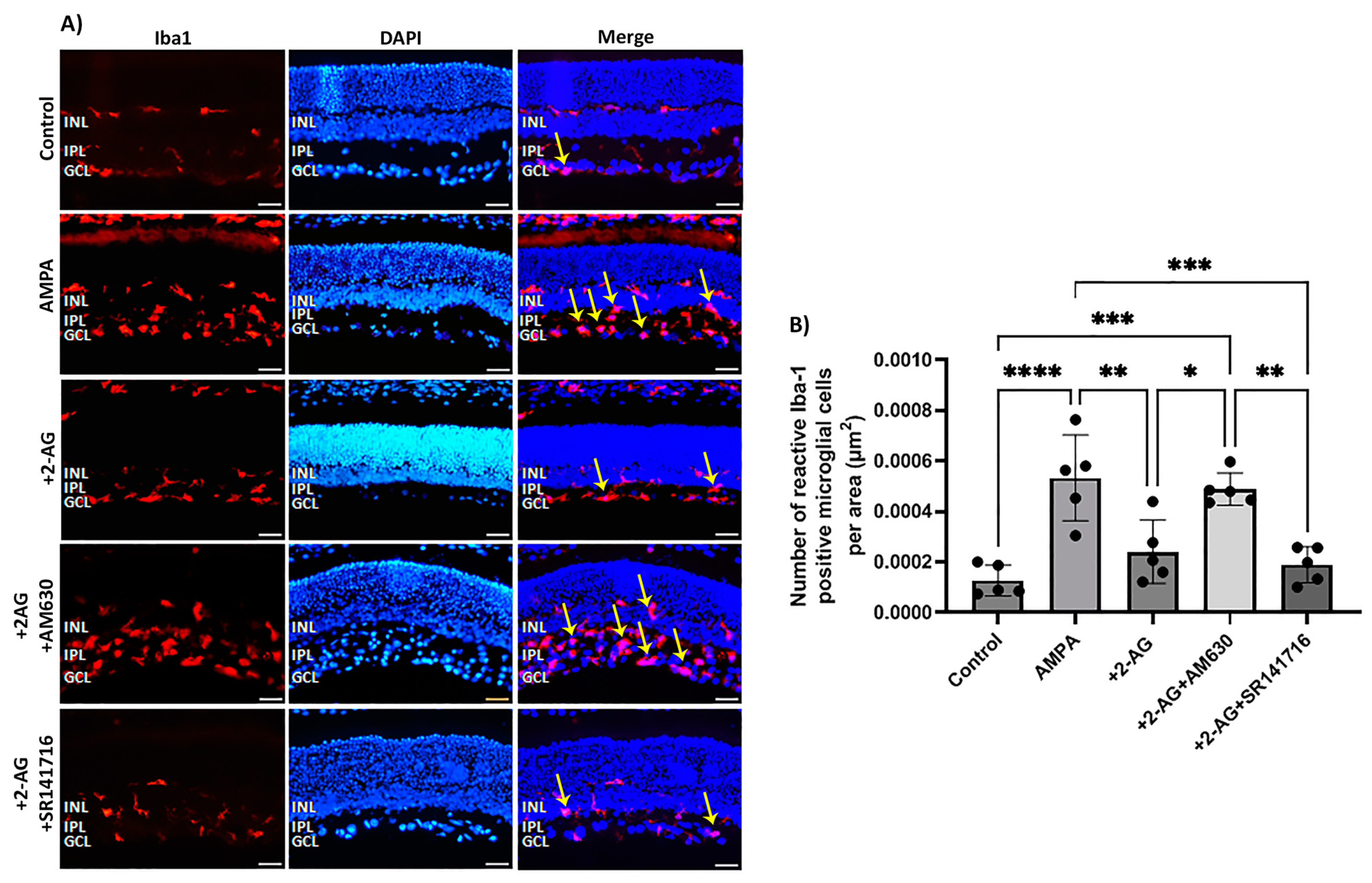 Ijms 24 15689 g003 Ijms 24 15689 g003