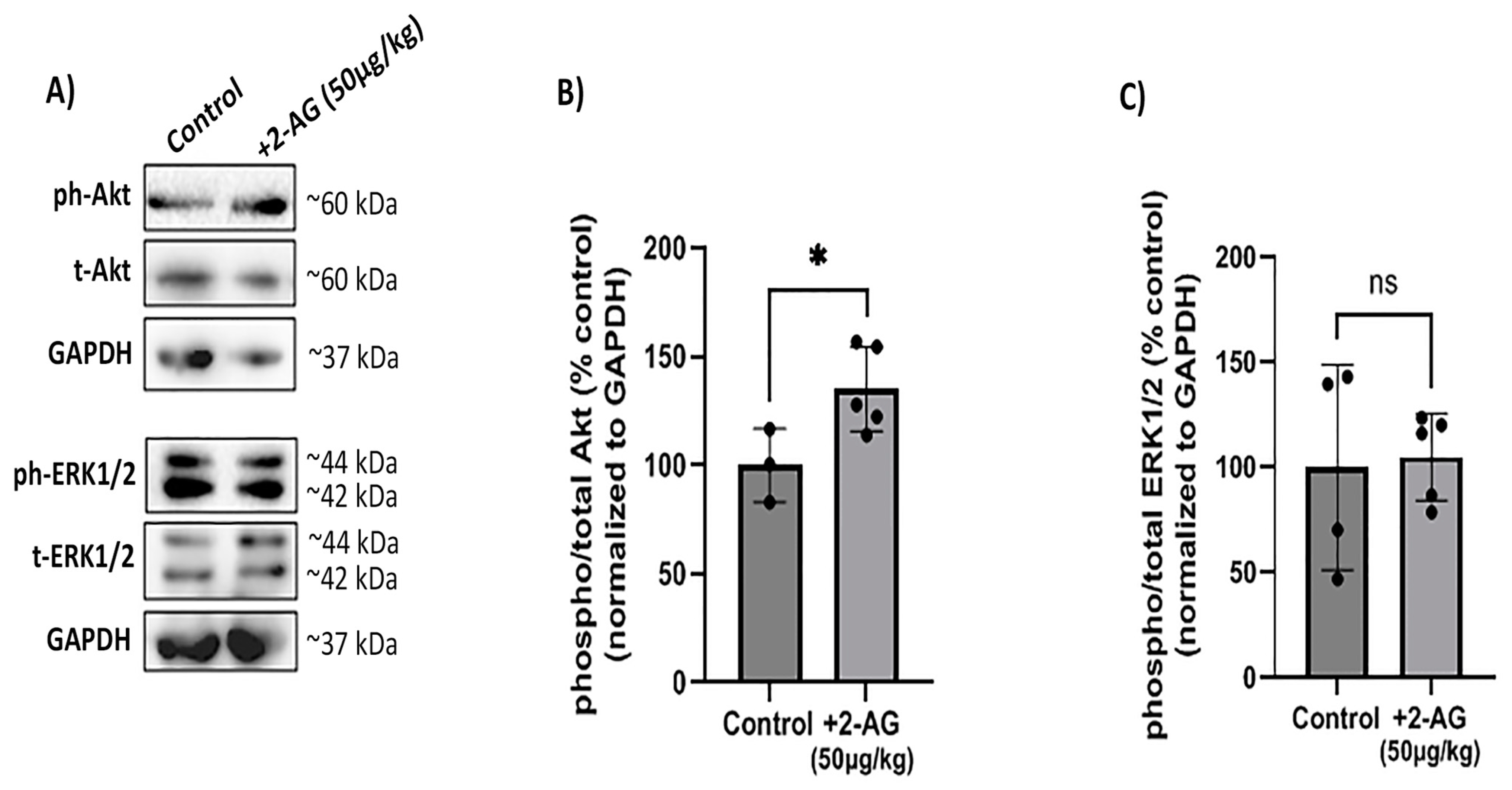 Ijms 24 15689 g004 Ijms 24 15689 g004