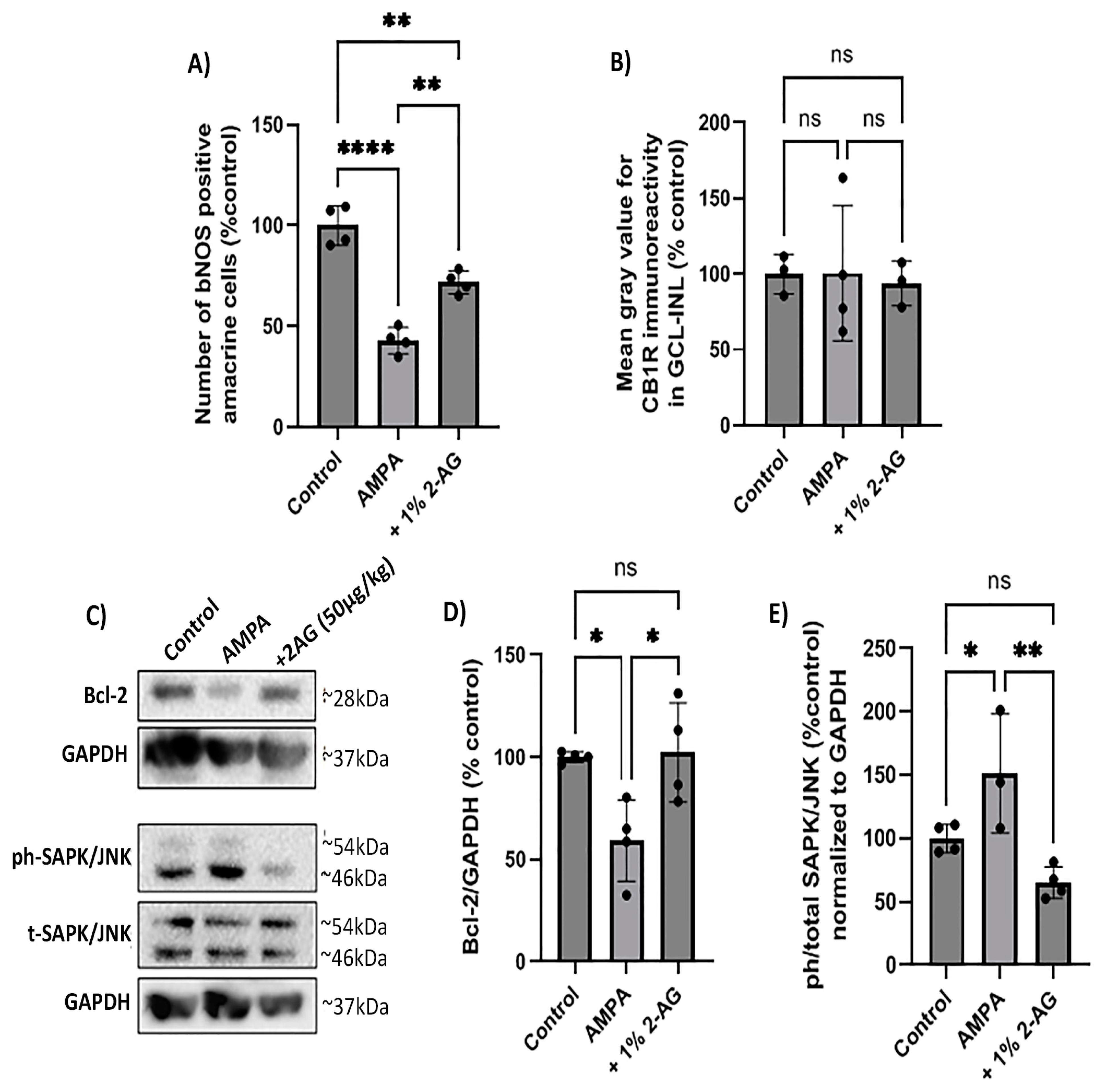 Ijms 24 15689 g007 Ijms 24 15689 g007