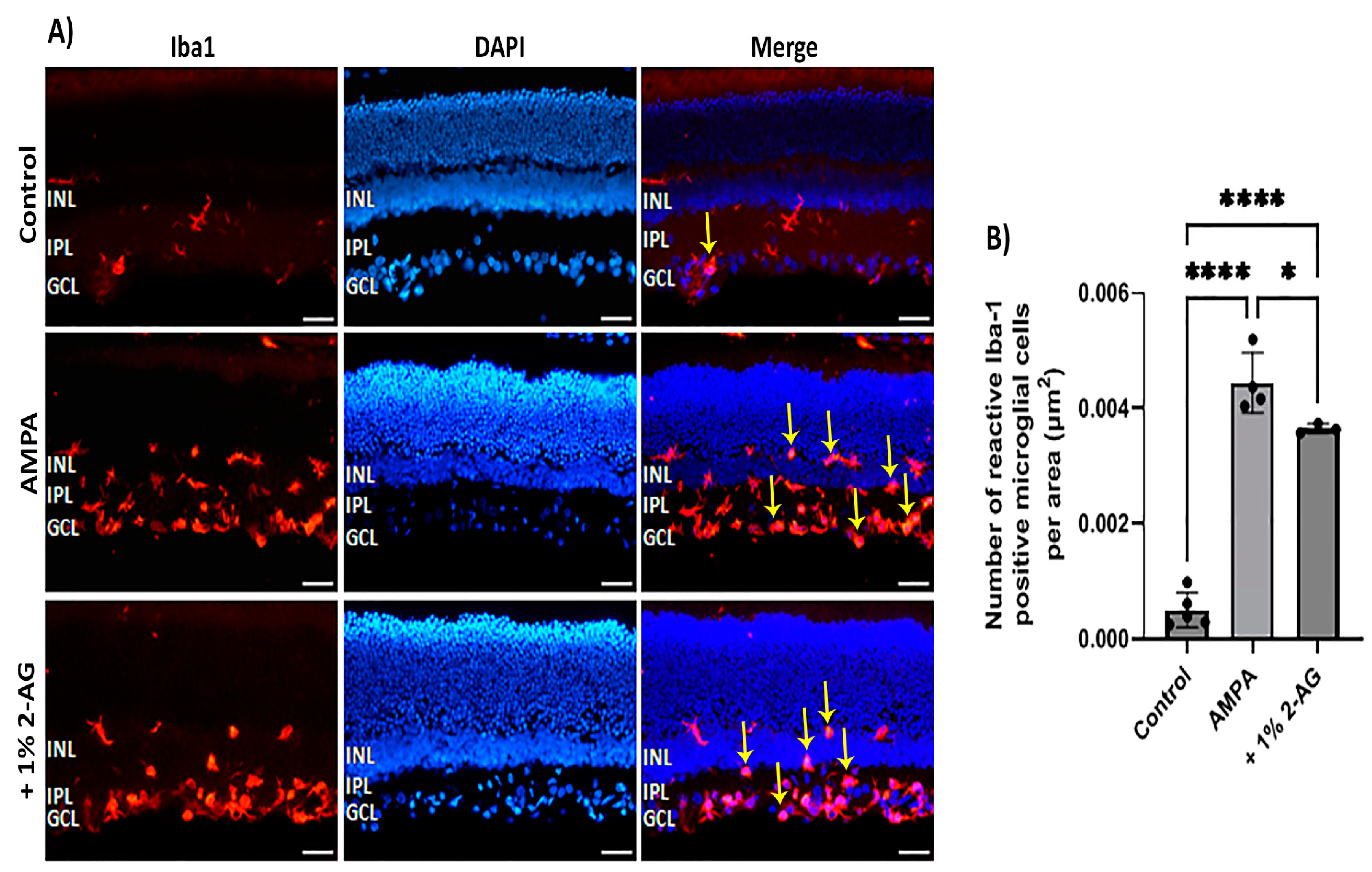 Ijms 24 15689 g008 Ijms 24 15689 g008