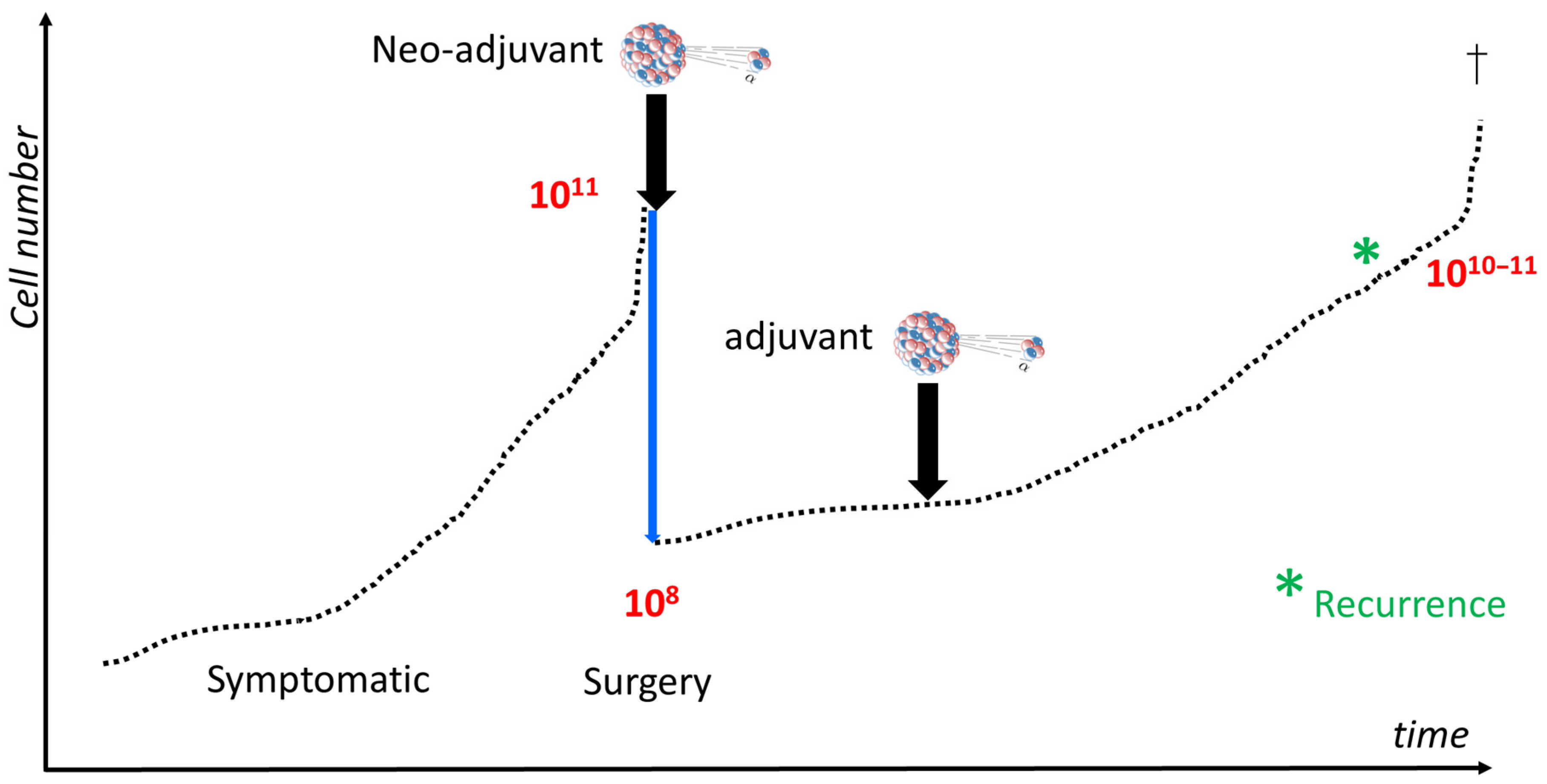 Ijms 24 15701 g001 Ijms 24 15701 g001