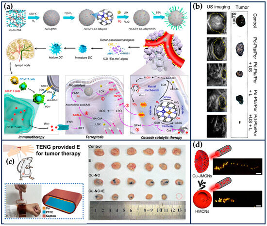 Transit 1〜9 Current Advances of Atomically Dispersed Metal-Centered