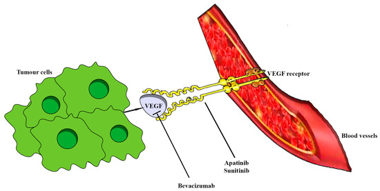 Aggressive PitNETs and Potential Target Therapies: A