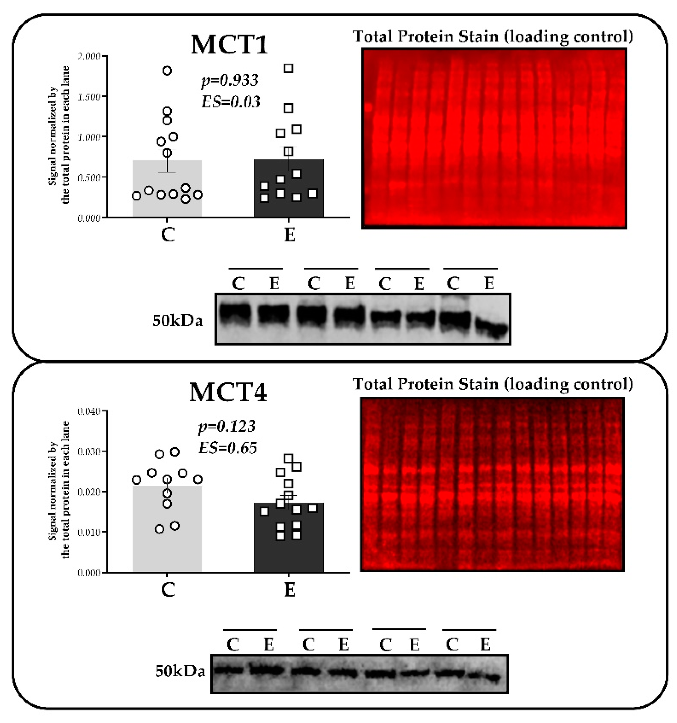Ijms 24 15753 g005 Ijms 24 15753 g005
