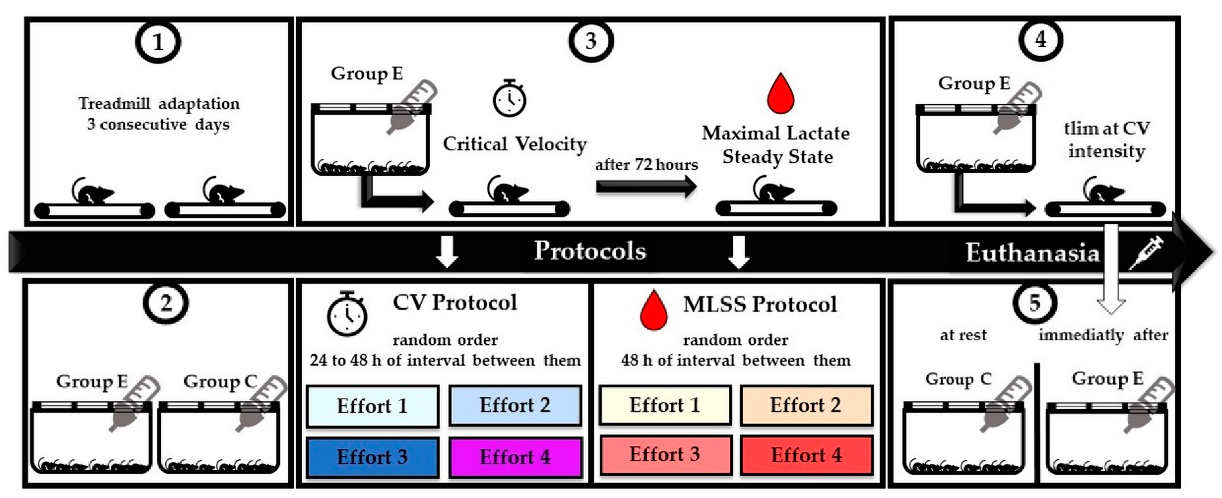 Ijms 24 15753 g007 Ijms 24 15753 g007