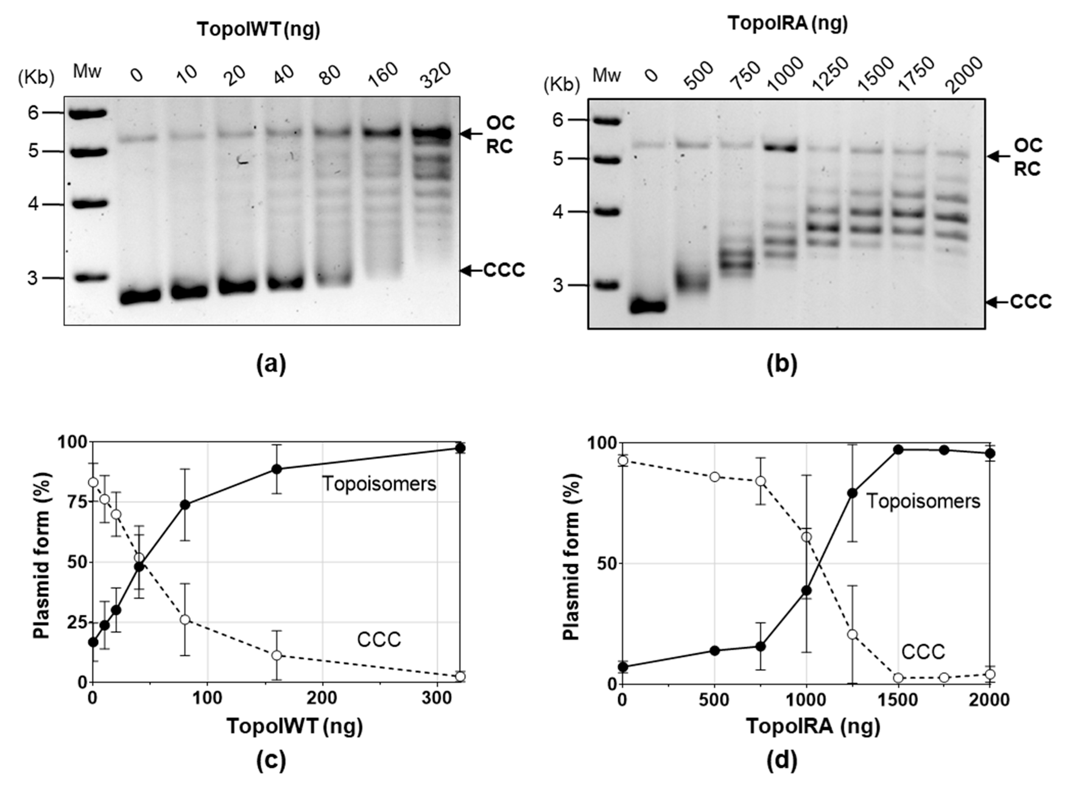 Ijms 24 15800 g003 Ijms 24 15800 g003