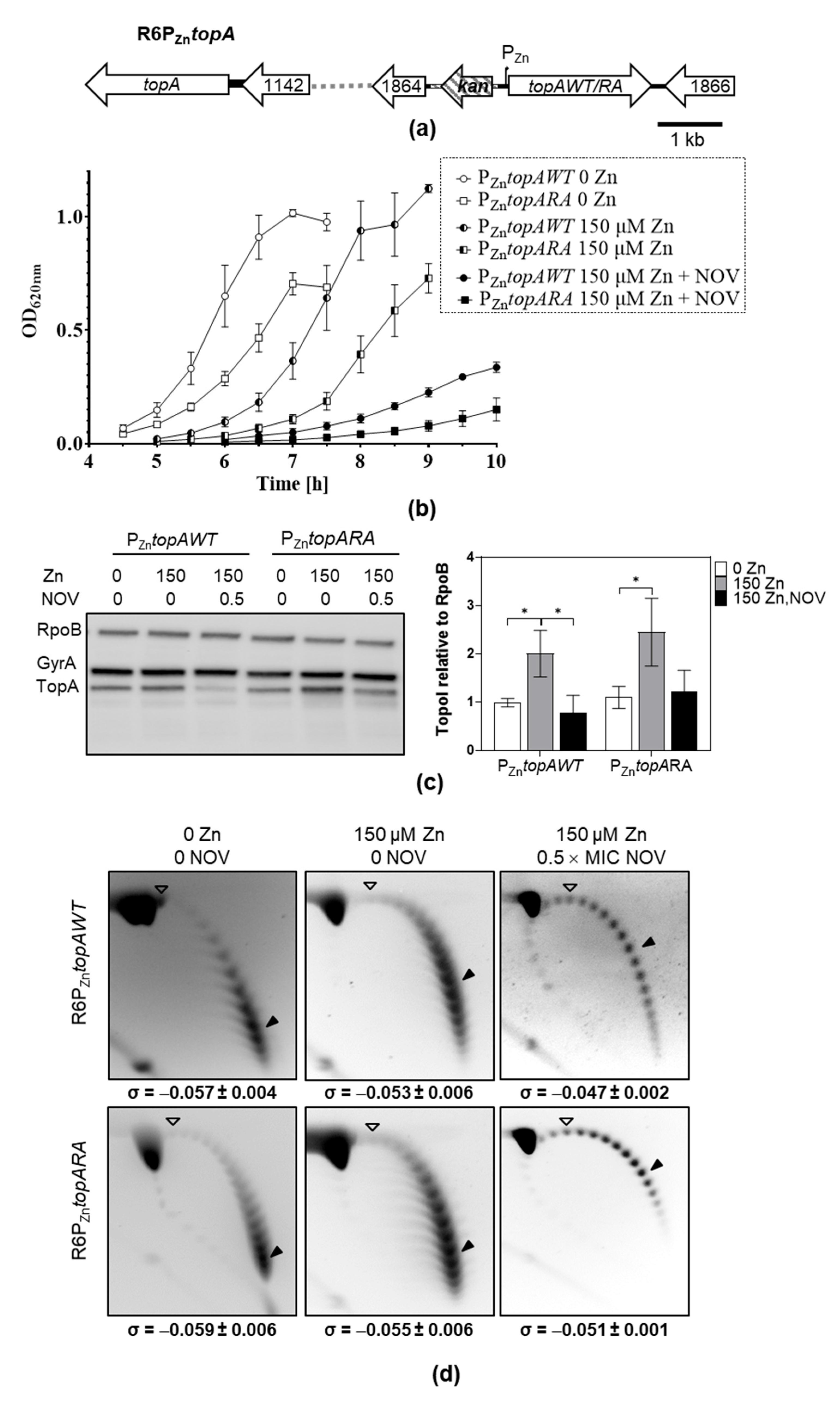 Ijms 24 15800 g005 Ijms 24 15800 g005