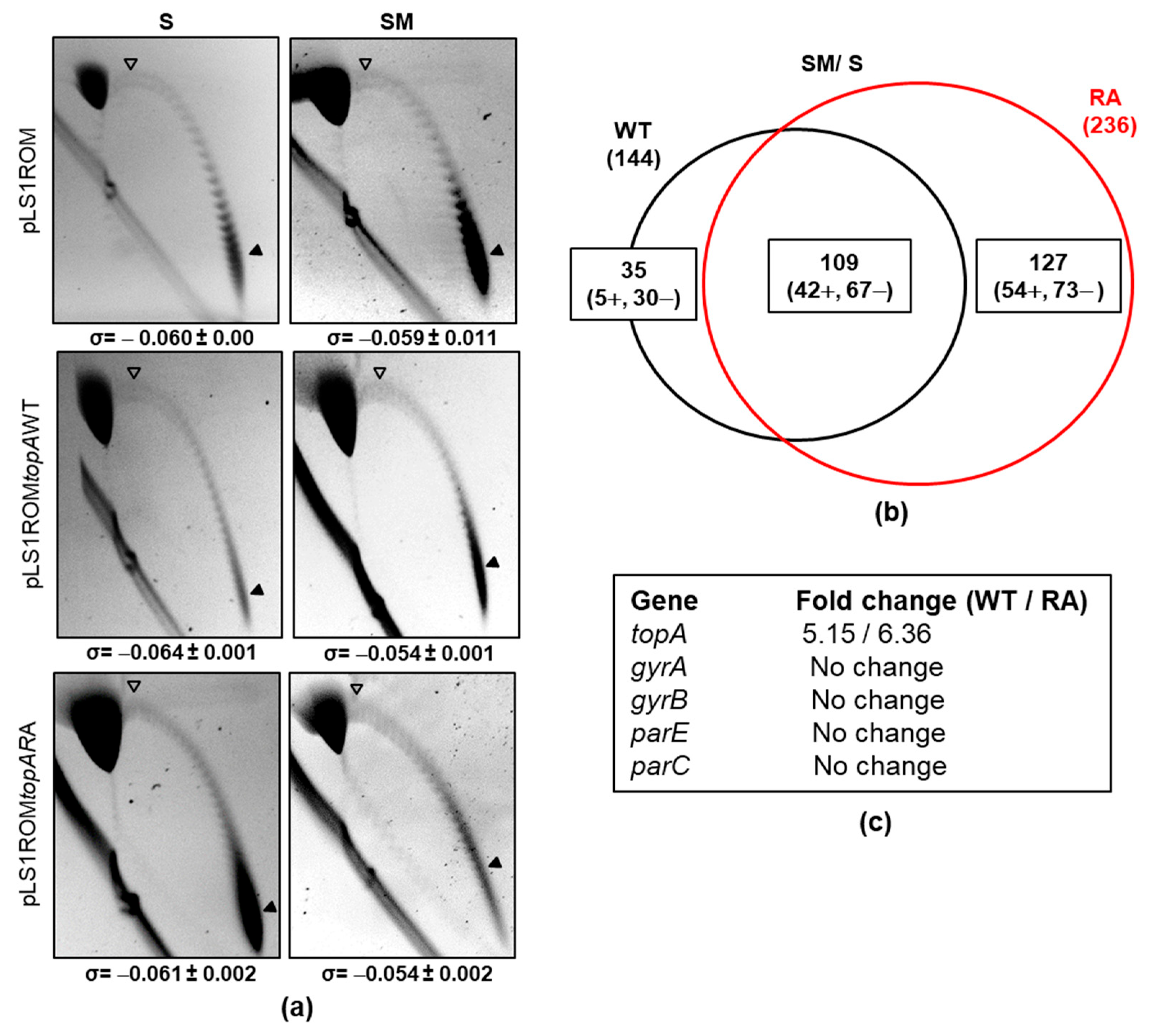 Ijms 24 15800 g007 Ijms 24 15800 g007
