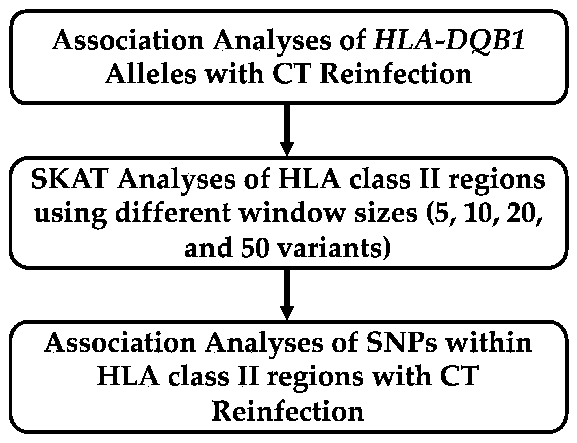 Ijms 24 15803 g001 Ijms 24 15803 g001