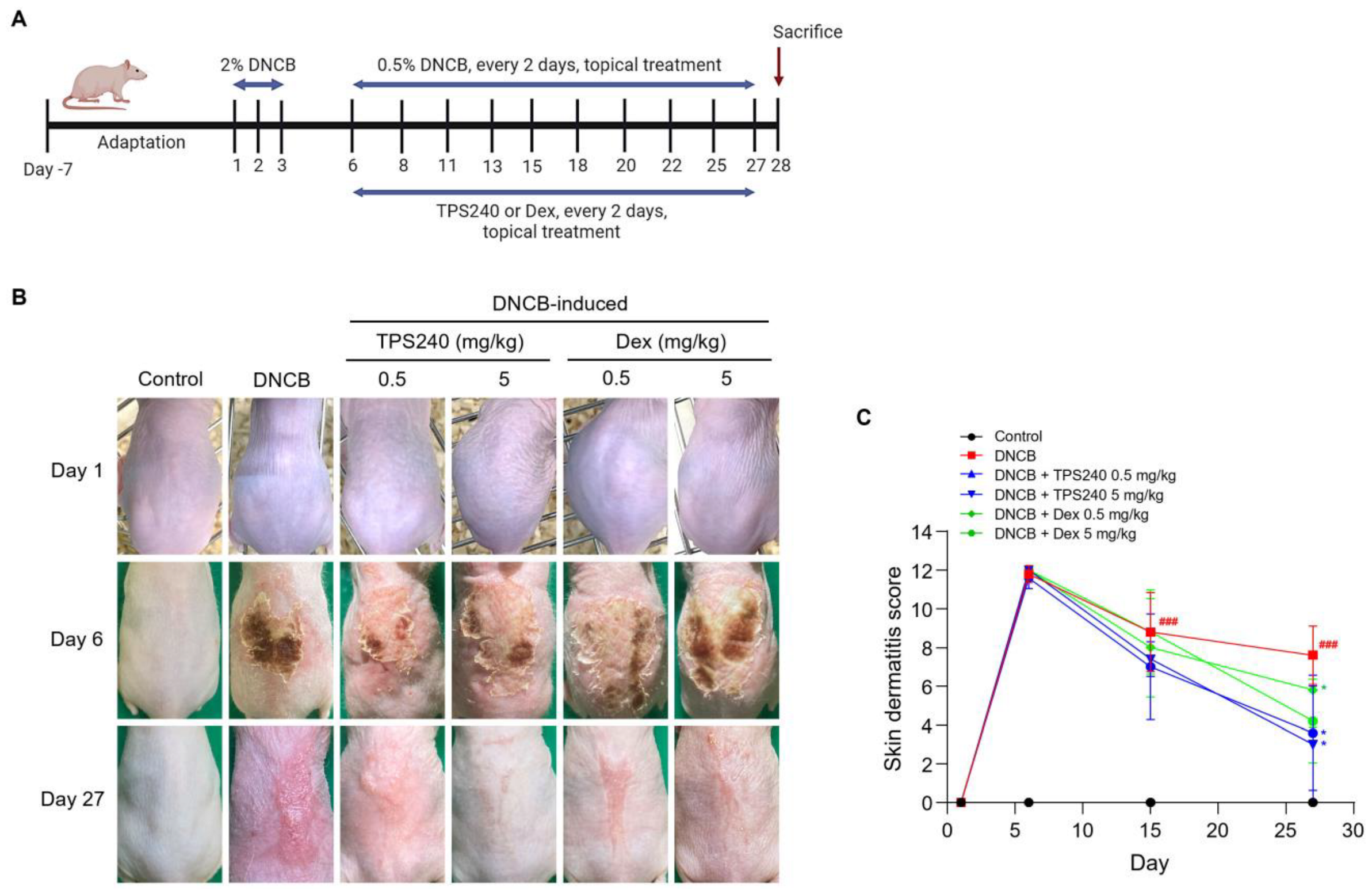 Ijms 24 15814 g001 Ijms 24 15814 g001
